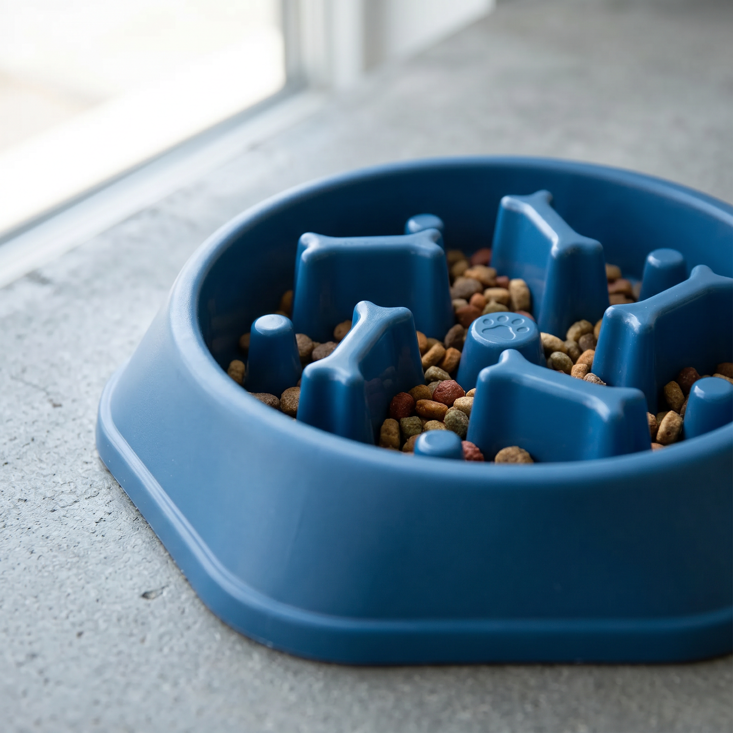 Eco Friendly Non Slip Dog Bowl