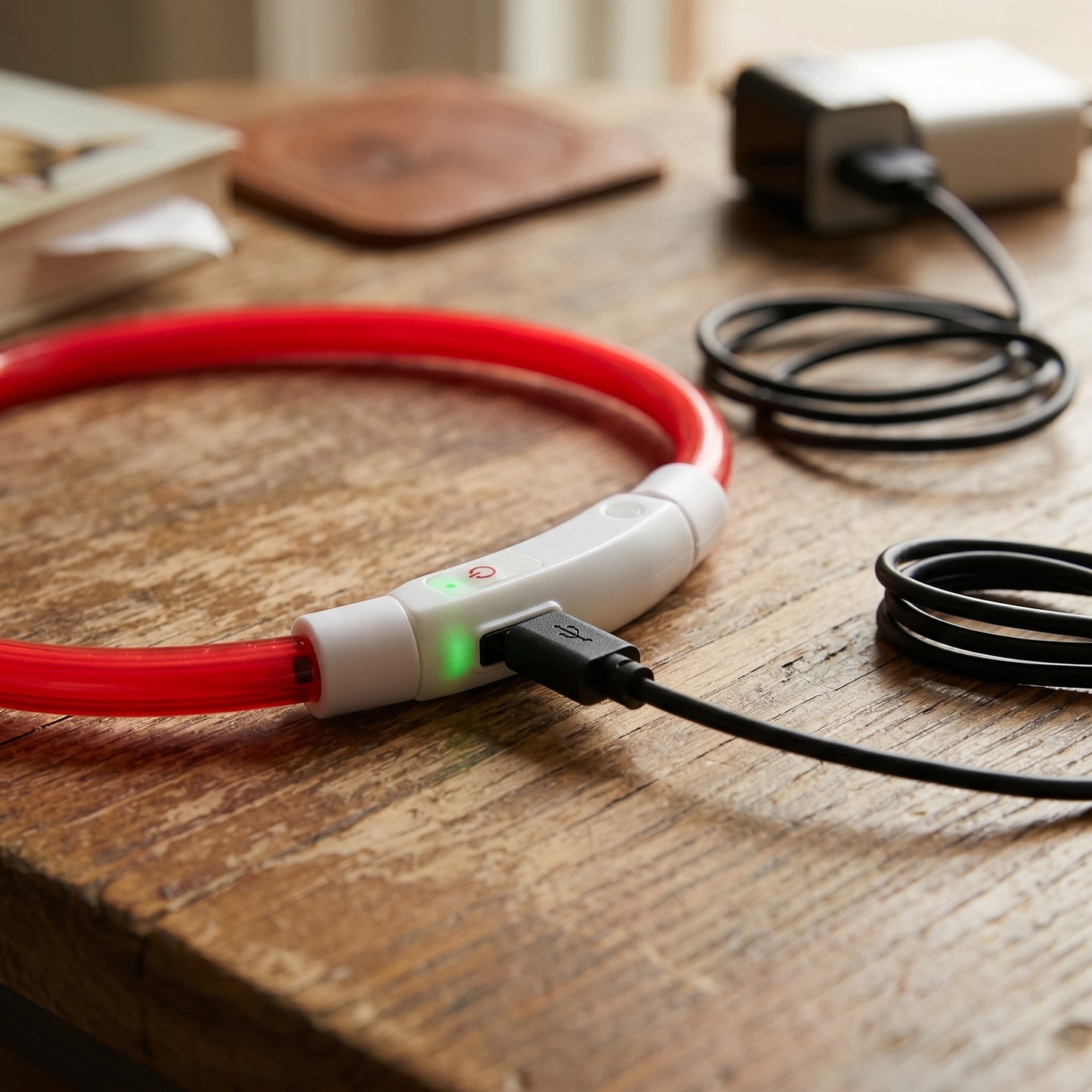 Glow in The Dark Pet Collar
